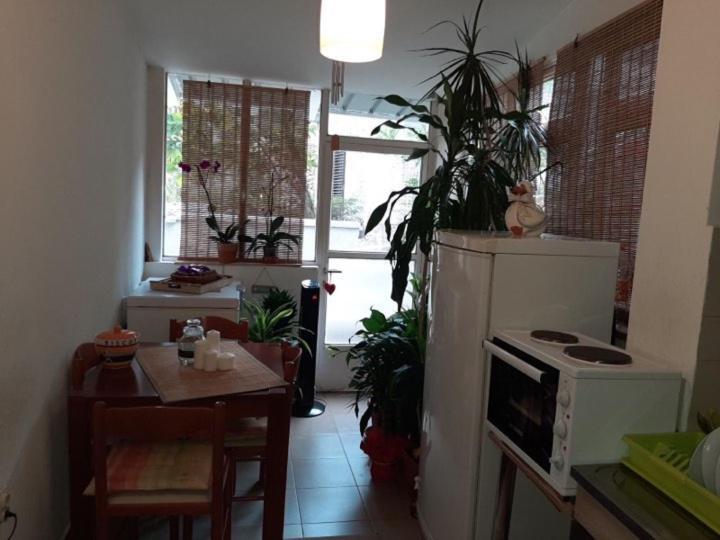 Guest House Ivan 부드바 외부 사진